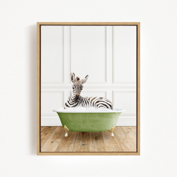 A zebra is sitting in a green bathtub, which is placed on a wooden floor against a white wall.