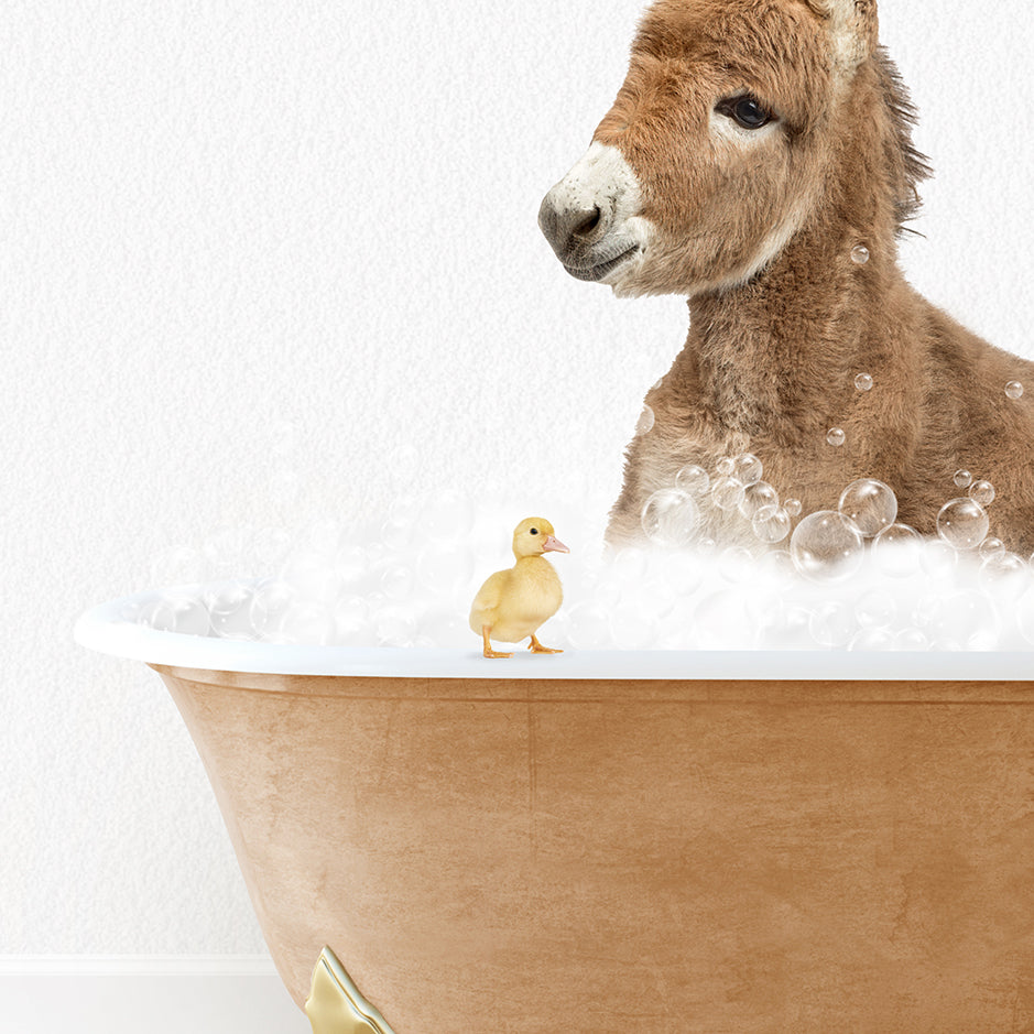 a donkey in a bathtub with bubbles and a rubber duck