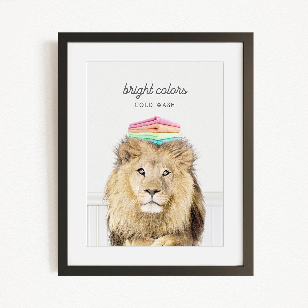 A framed image of a lion with a stack of colorful towels on its head, accompanied by the text "bright colors" and "COLD WASH".