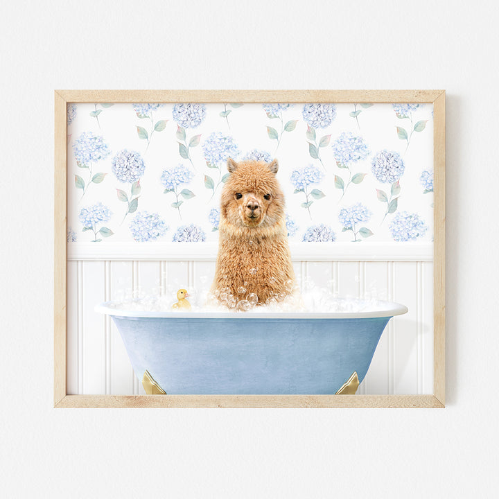 a brown dog sitting in a blue bath tub