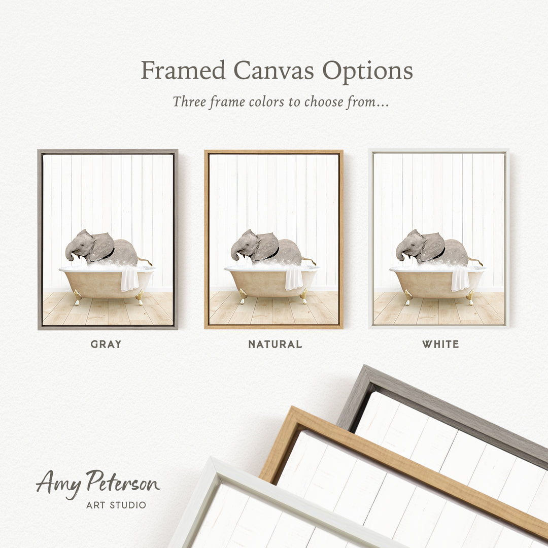 three framed canvas options, each featuring a different color: gray, natural, and white. The text above the images reads " framed Canvas Options" and "Three frame colors to choose from...". The bottom of the image includes the text " Amy Peterson ART STUDIO".