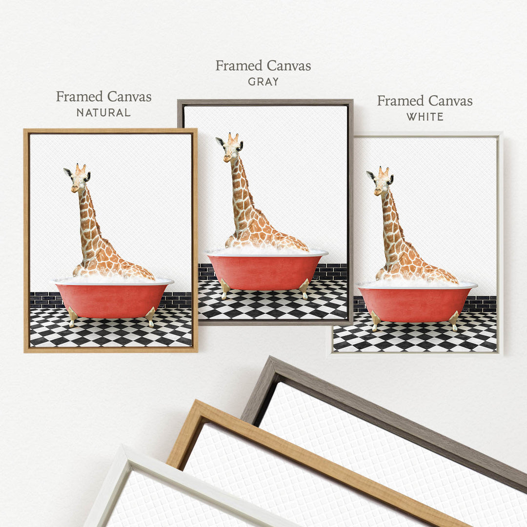 three framed pictures of a giraffe sitting in a red bathtub, each with a different frame color: natural, gray, and white.