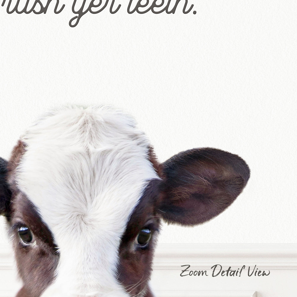 A close-up of a cow's head with a white and brown coat, looking directly at the camera.