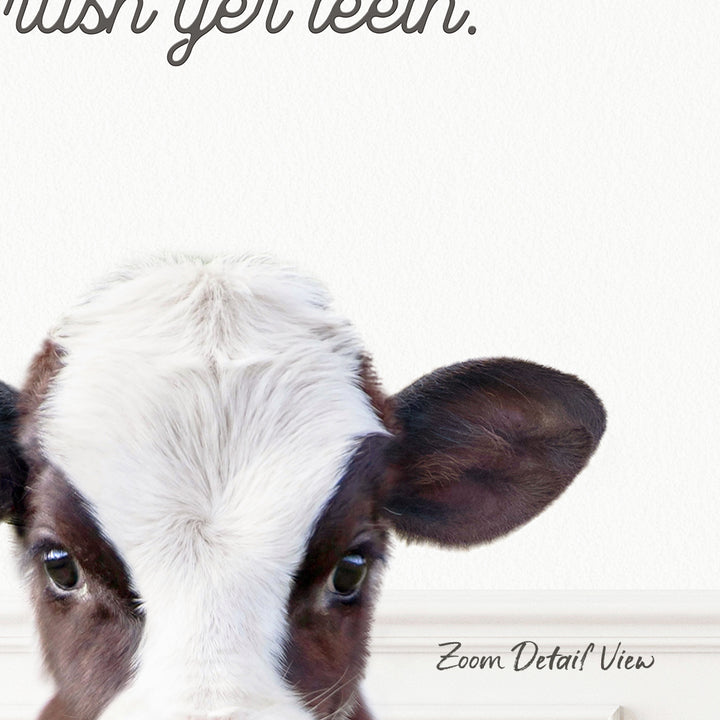 A close-up of a cow's head with a white and brown coat, looking directly at the camera.