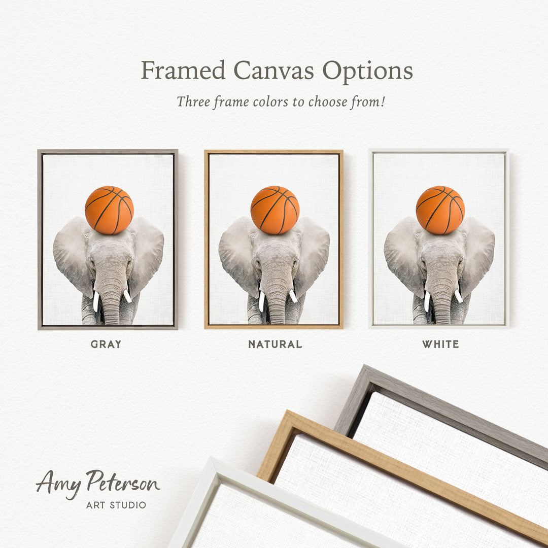 three framed canvas options featuring an elephant holding a basketball on its head. The options include a gray, a natural, and a white frame.