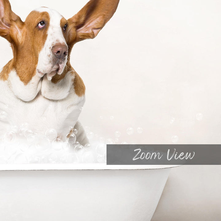 A brown and white dog sitting in a bathtub filled with bubbles, with the word "Zoom View" written on the side of the tub.
