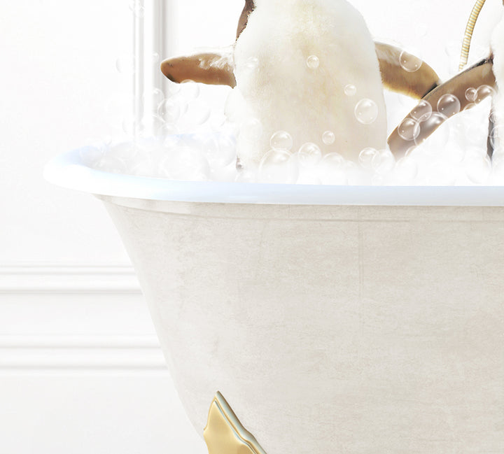 a bird sitting in a bathtub filled with bubbles