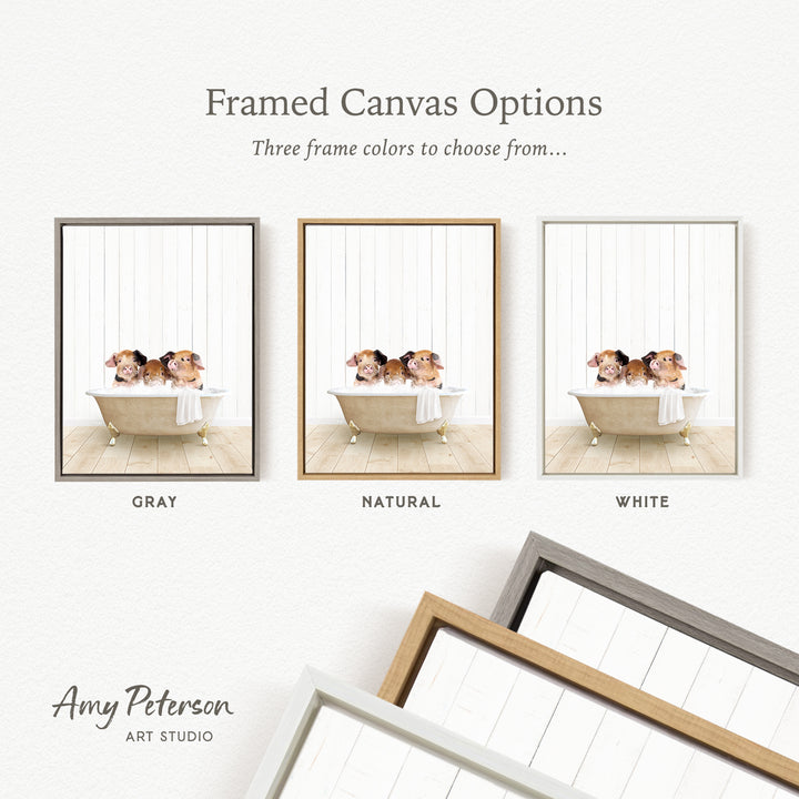 three framed canvas options, each featuring a different color: gray, natural, and white. The text above the images reads " framed Canvas Options" and "Three frame colors to choose from...". The bottom of the image includes the text " Amy Peterson ART STUDIO".