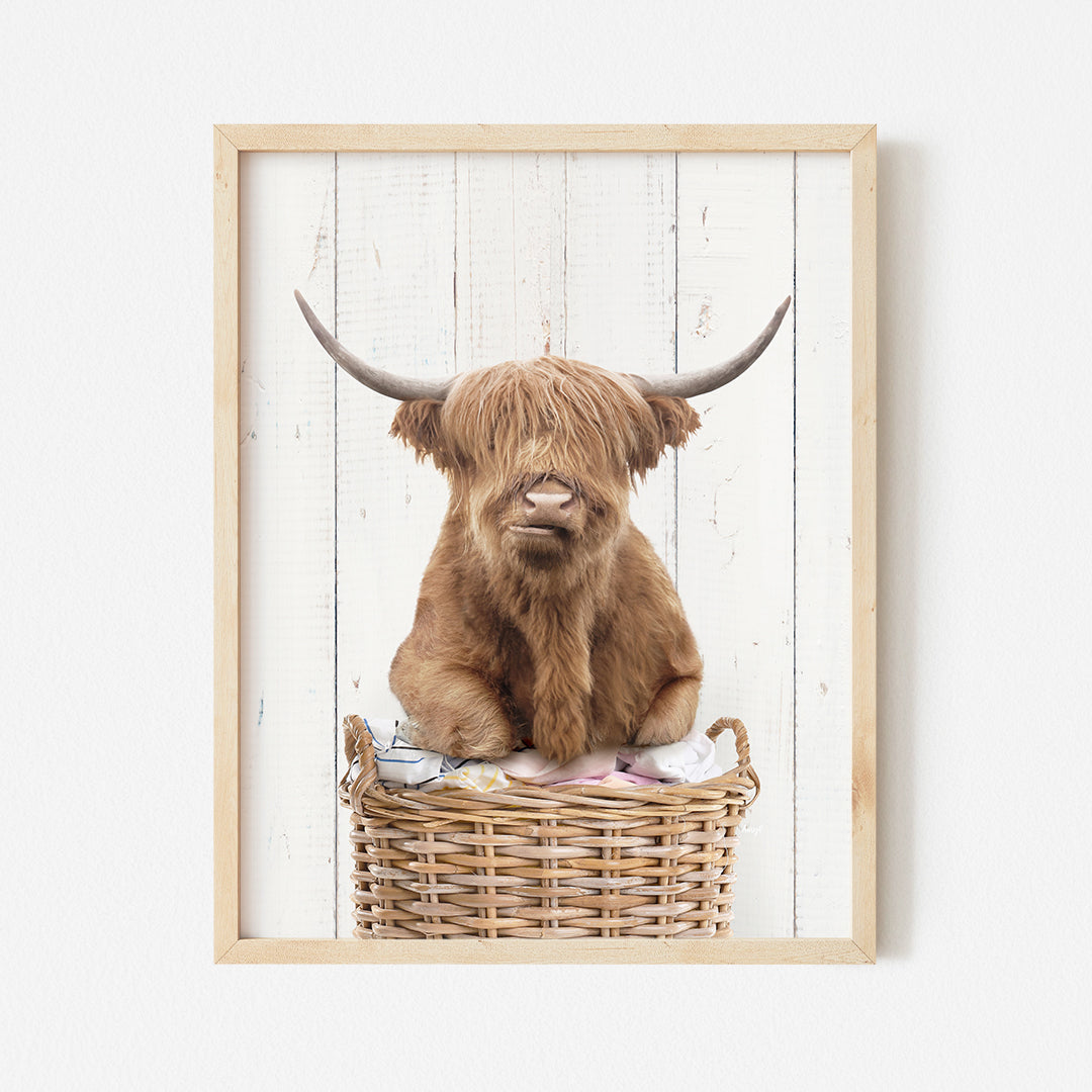 a picture of a highland cow sitting in a basket