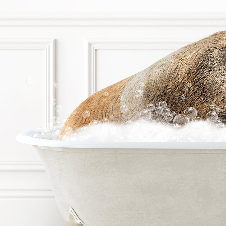 a dog is taking a bath in a bathtub