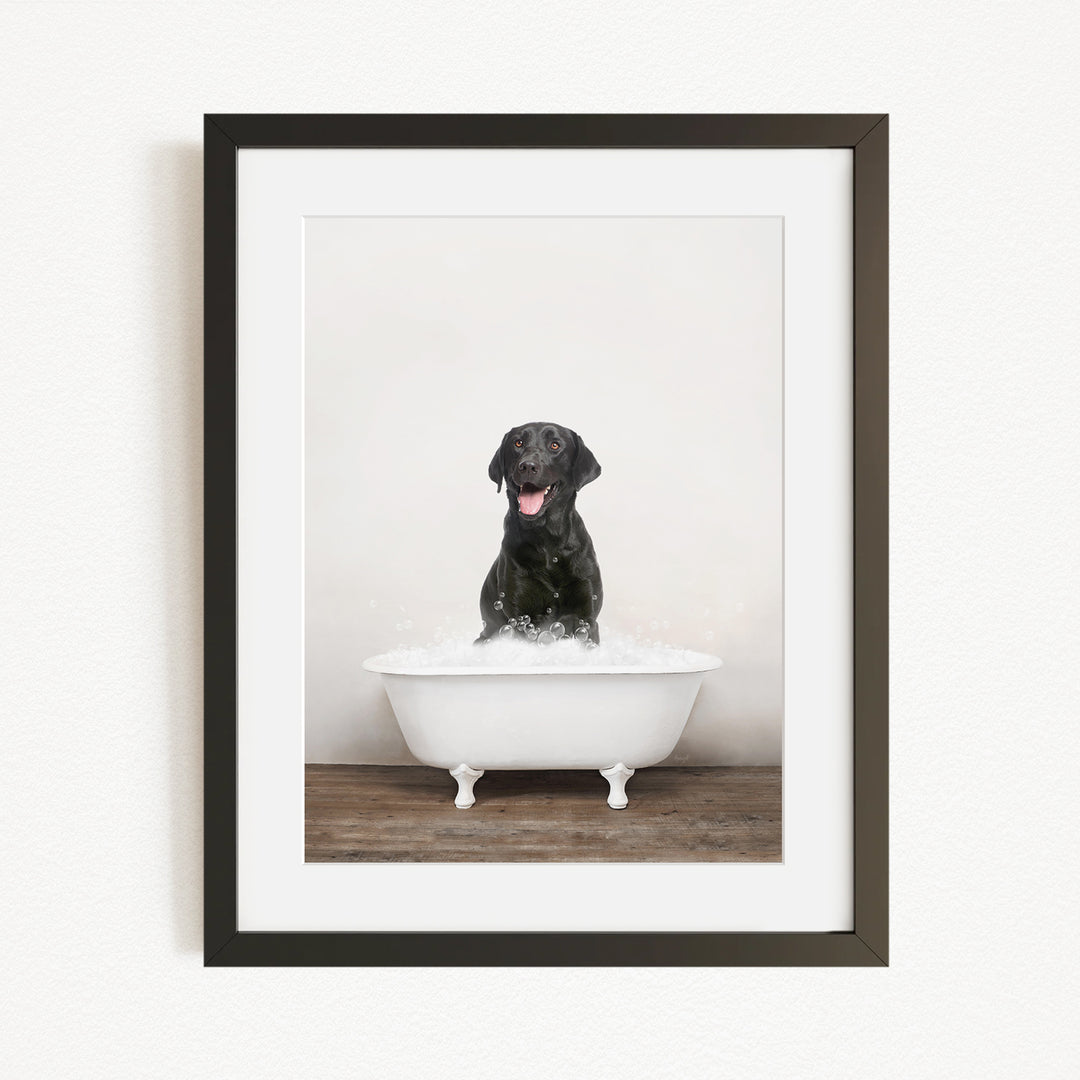 A black dog sitting in a white bathtub filled with water, appearing to be enjoying the bath.