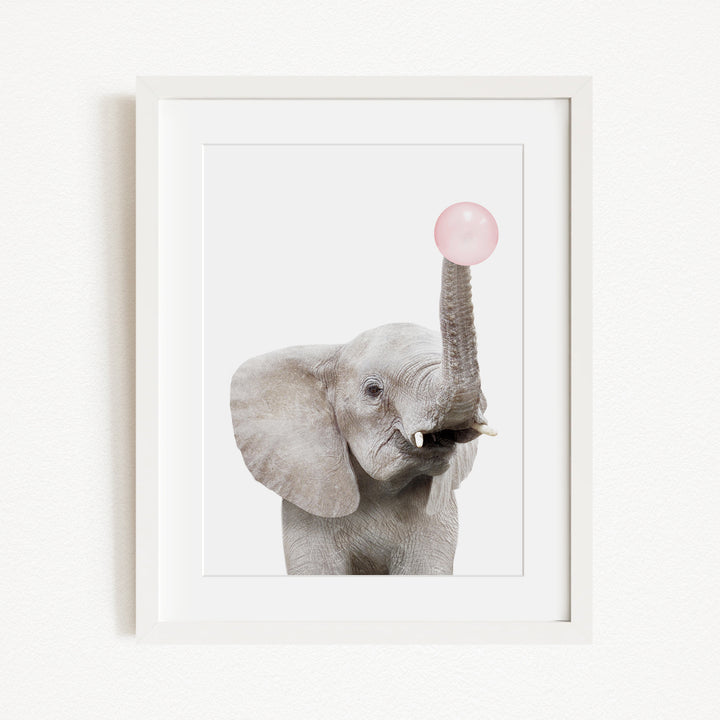 A gray elephant is standing in front of a white wall, holding a pink bubble in its trunk.