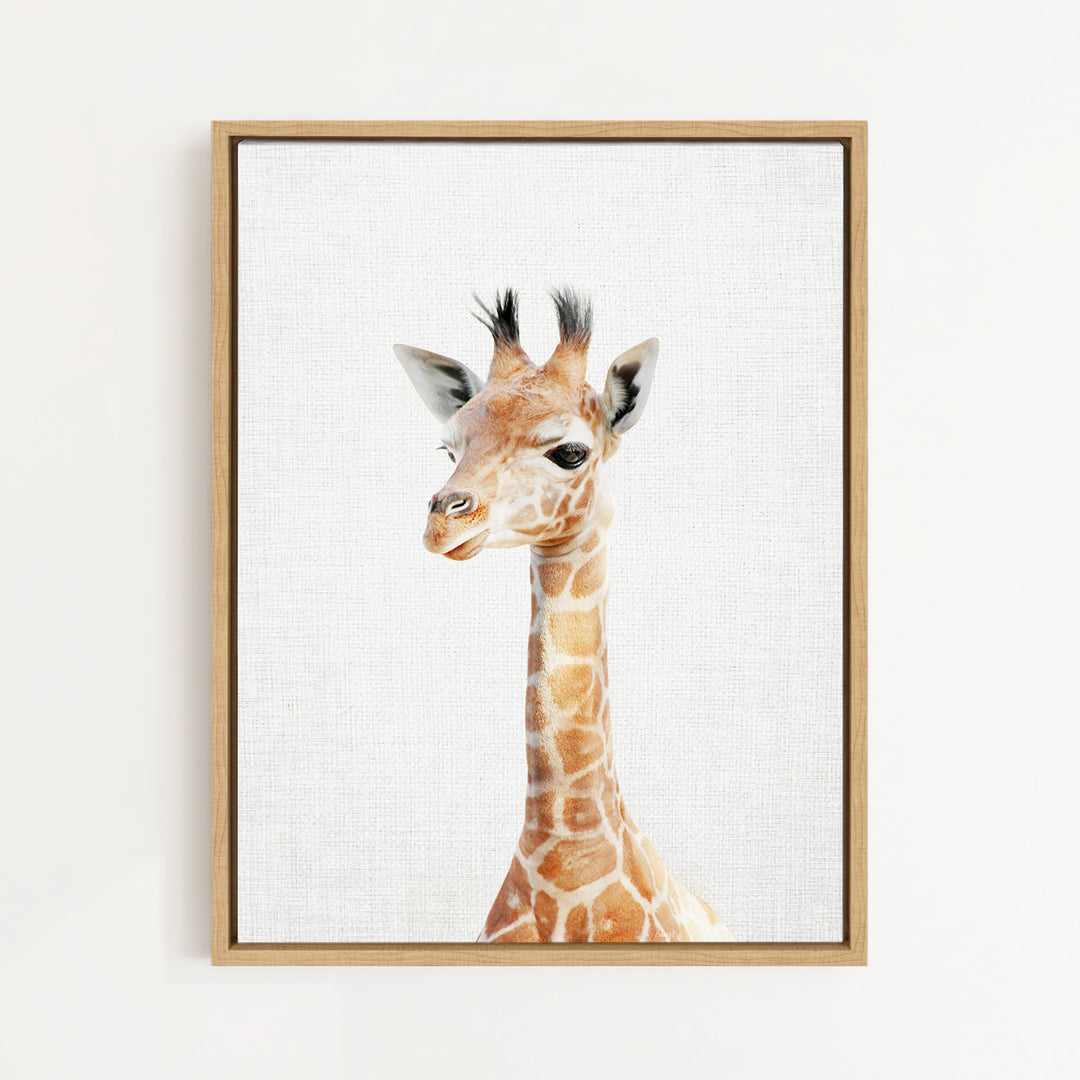 A framed print of a giraffe's head is displayed on a white wall.