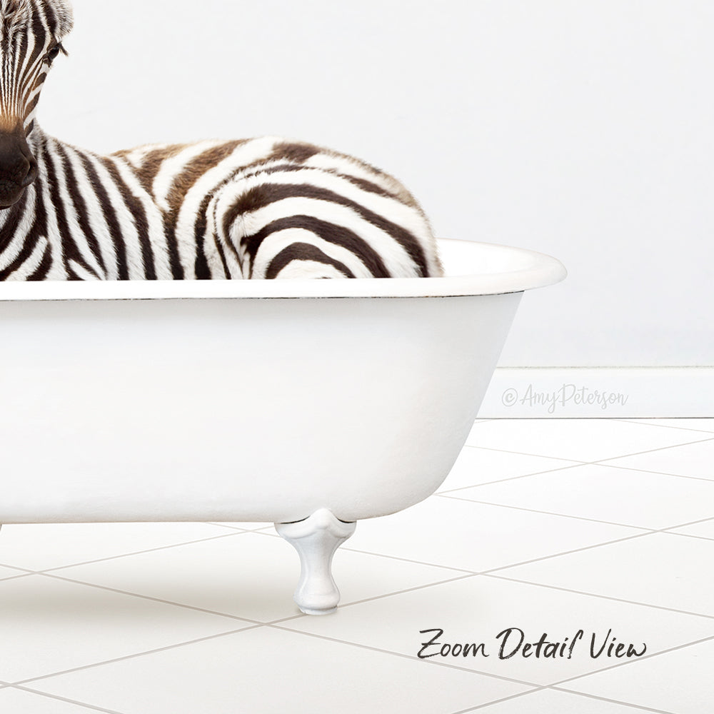 A zebra is sitting in a white bathtub, with its head resting on the edge of the tub.