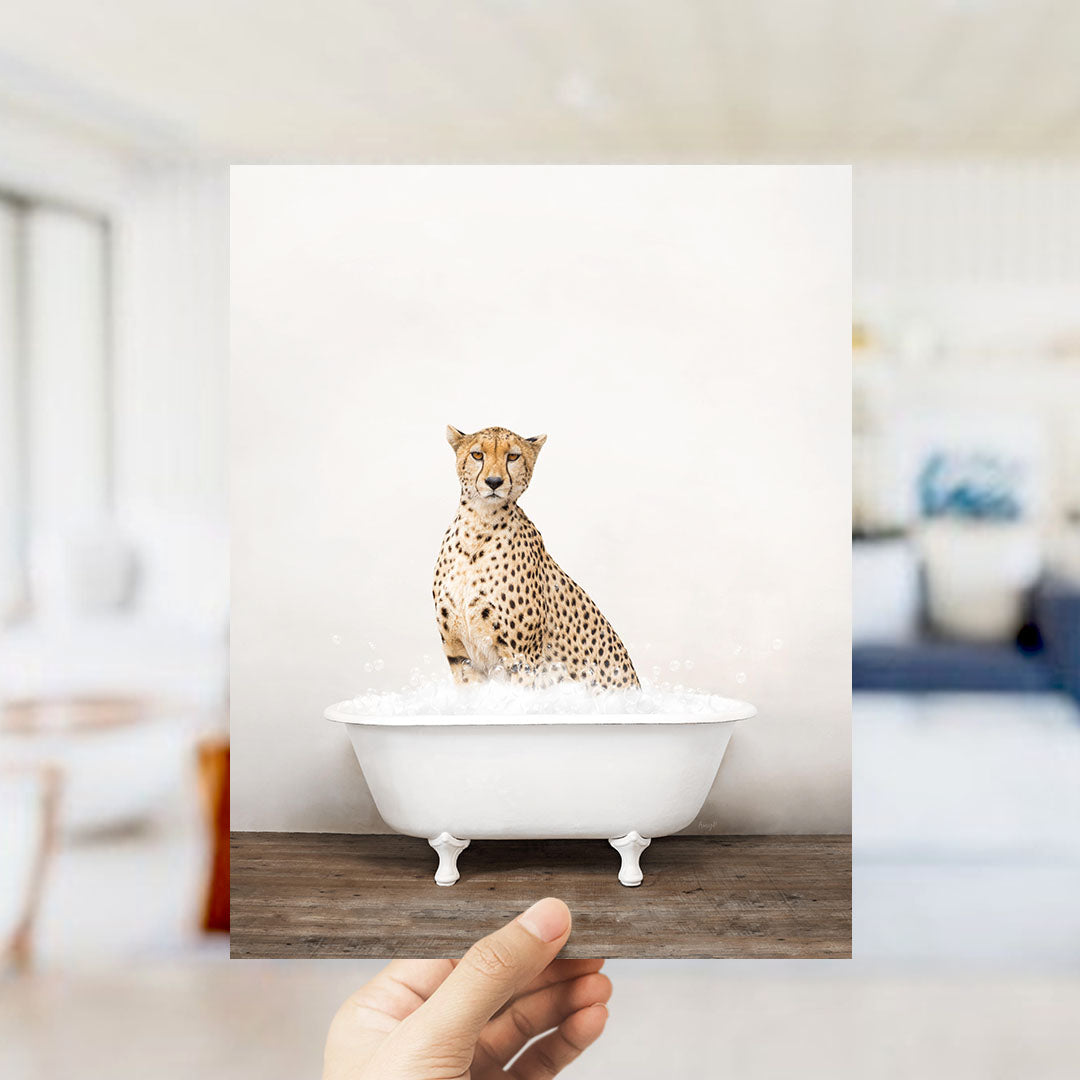 A cheetah sitting in a white bathtub filled with water, looking directly at the camera.