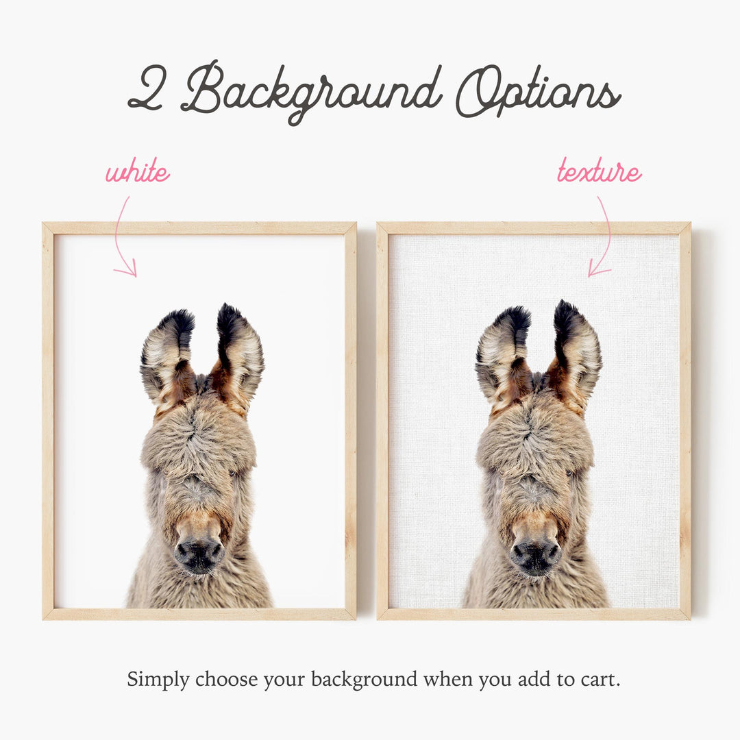 a picture of a dog's face with the words background options below it