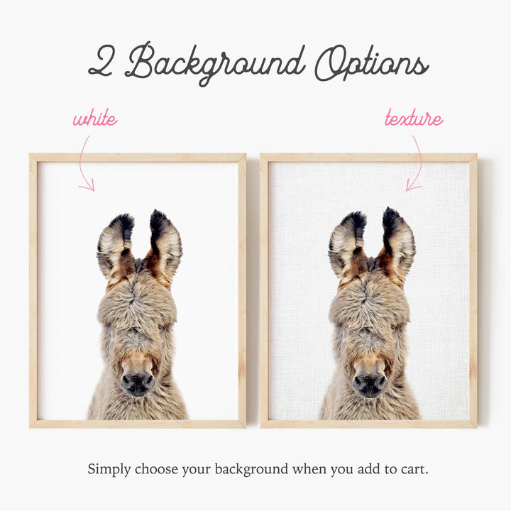 a picture of a dog's face with the words background options below it