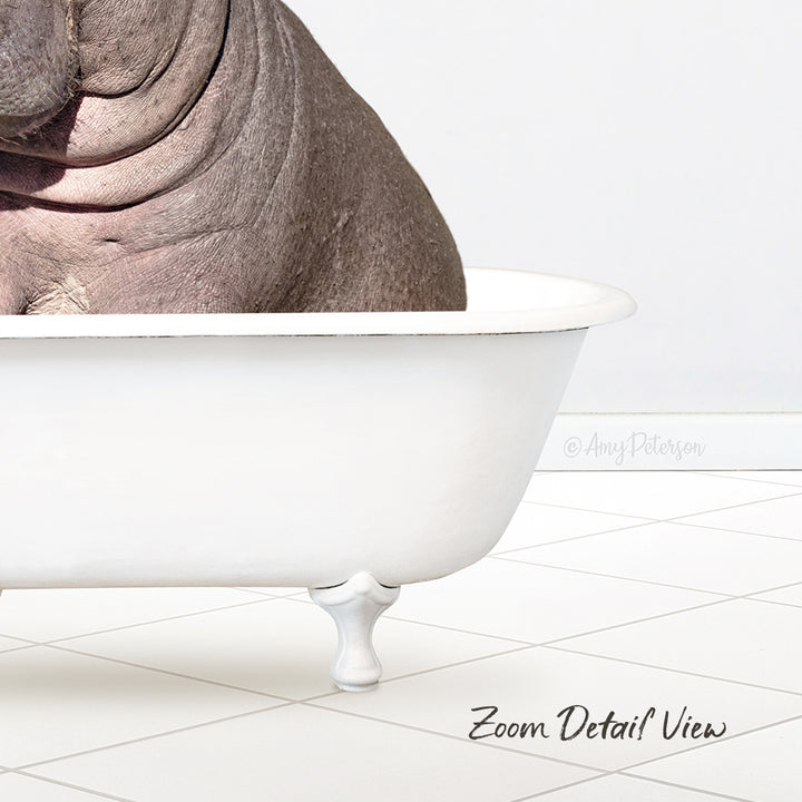 A close-up of a white bathtub with a large, wrinkled animal inside, likely a hippopotamus, sitting in the tub.