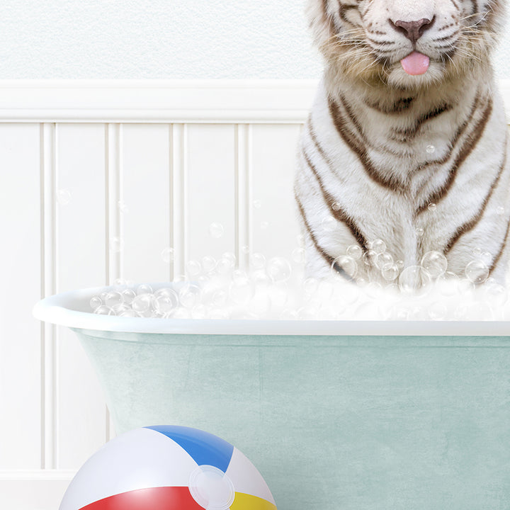 a white tiger sitting in a bathtub with bubbles