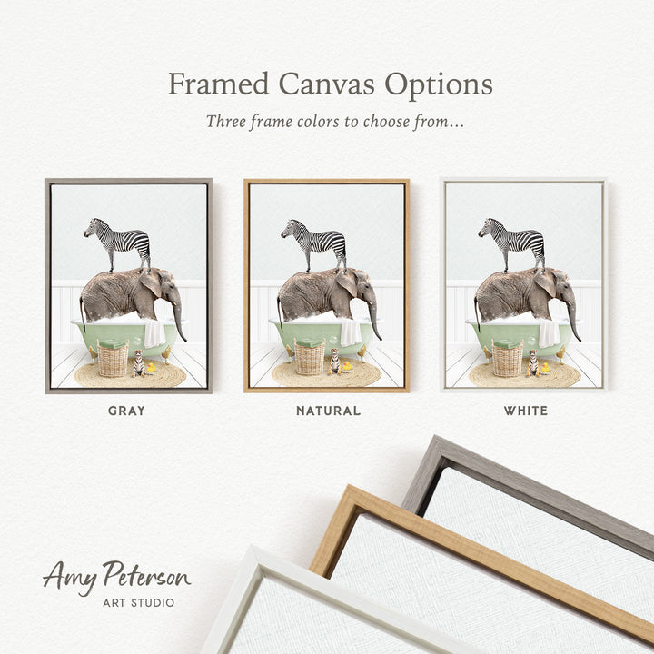 three framed canvas options, each featuring a different color: gray, natural, and white. The text above the images reads " framed Canvas Options" and "Three frame colors to choose from...". The artist's name, Amy Peterson, is also mentioned at the bottom of the image.