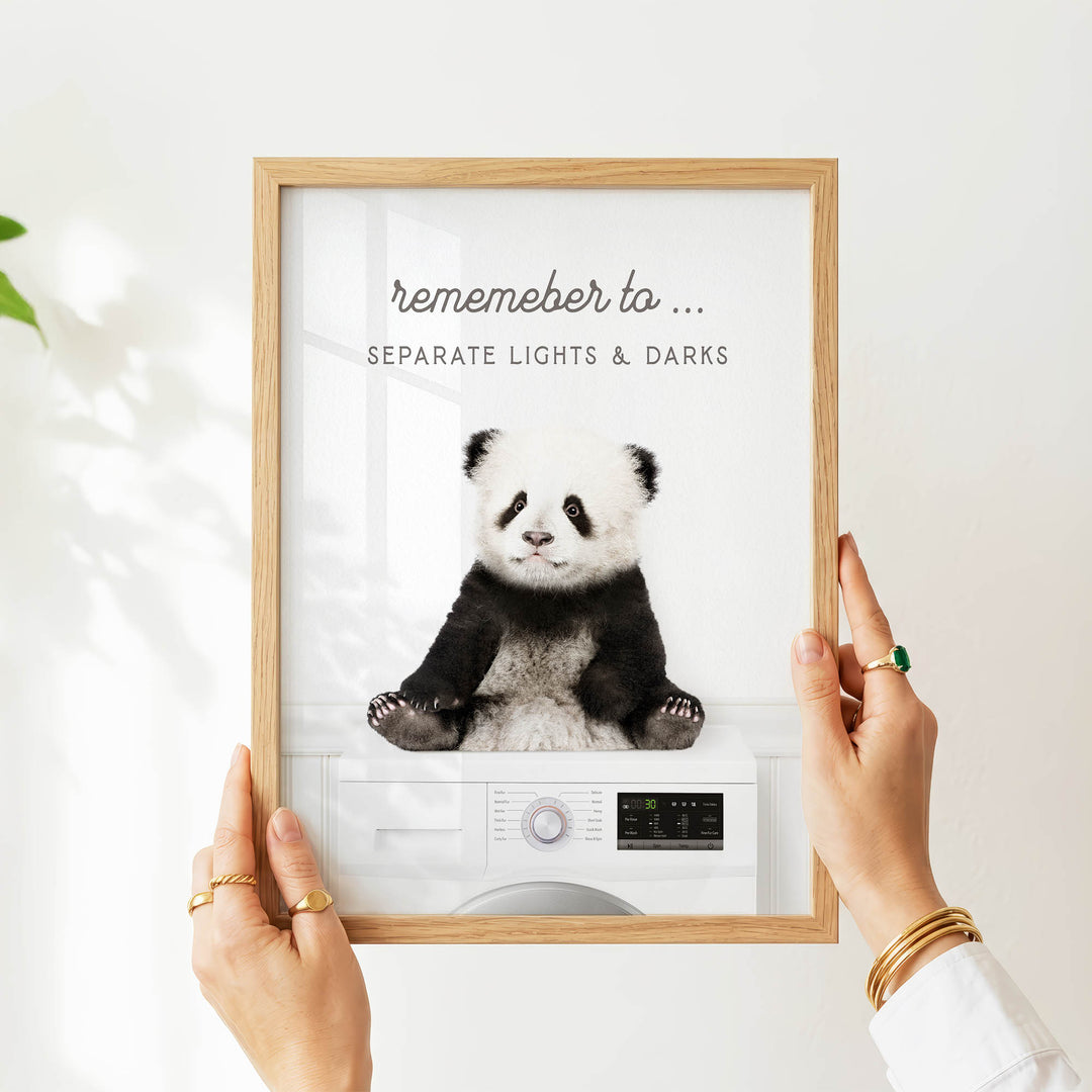 A person is holding up a framed image of a panda bear, with the text "Remember to separate lights & darks" written above the panda.