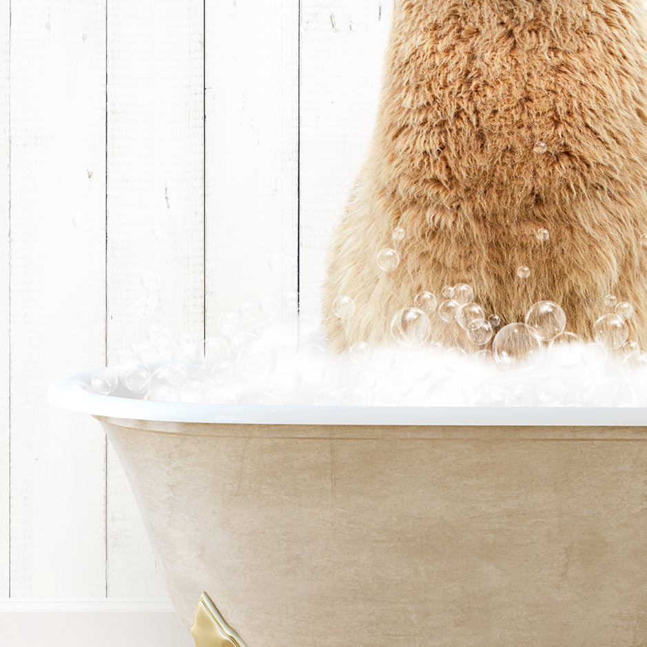 a brown bear sitting in a bathtub filled with bubbles