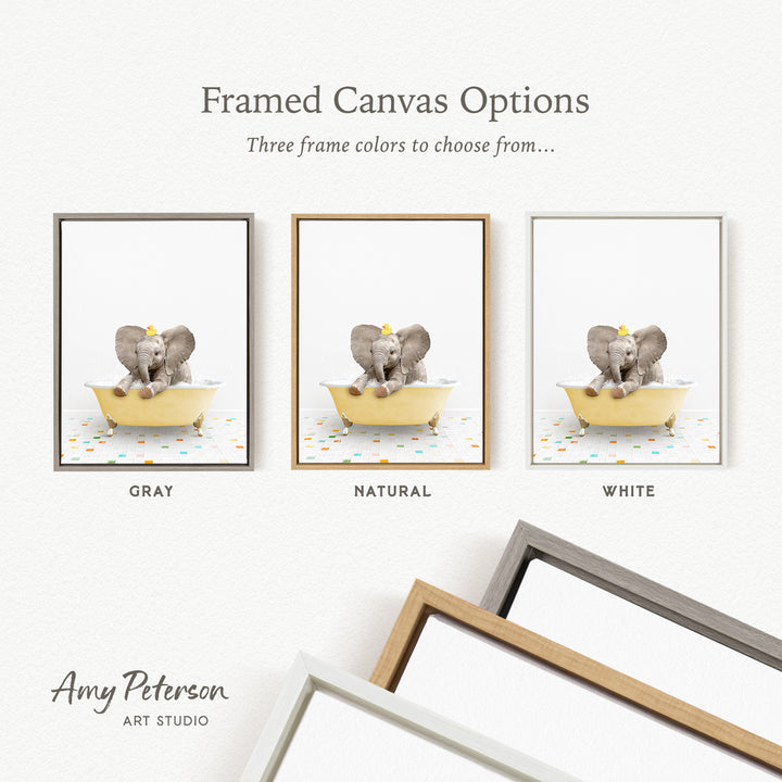 three framed canvas options, each featuring a different color: gray, natural, and white. The text above the images reads " Framed Canvas Options" and "Three frame colors to choose from...". The bottom of the image includes the text " Amy Peterson ART STUDIO".