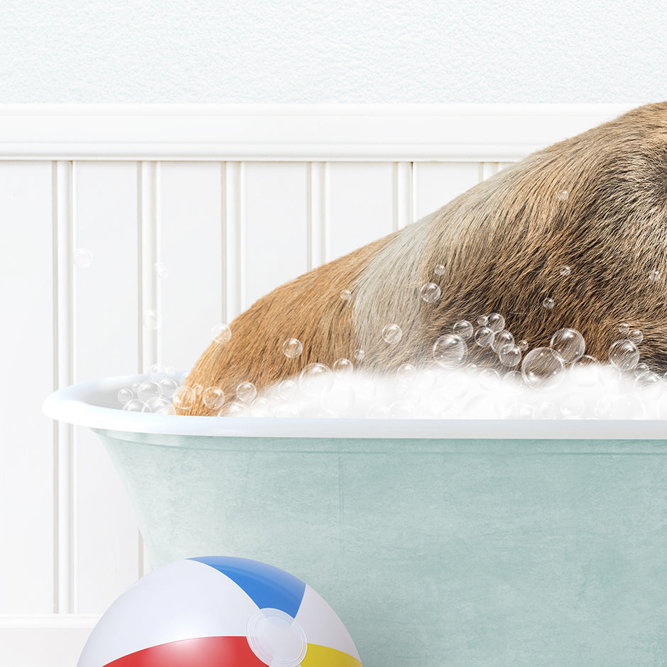 a dog taking a bath in a bathtub