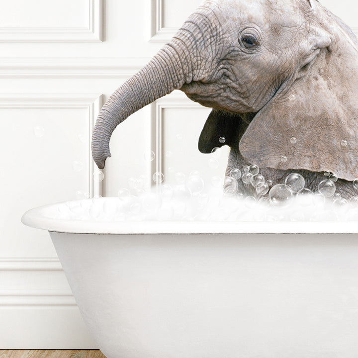 an elephant in a bath tub with bubbles