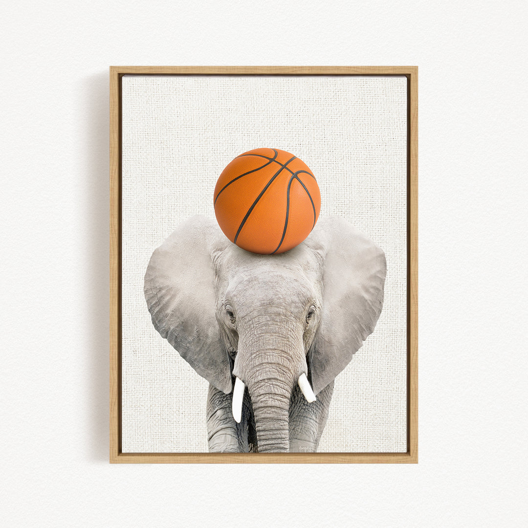 A gray elephant with a basketball resting on its head.