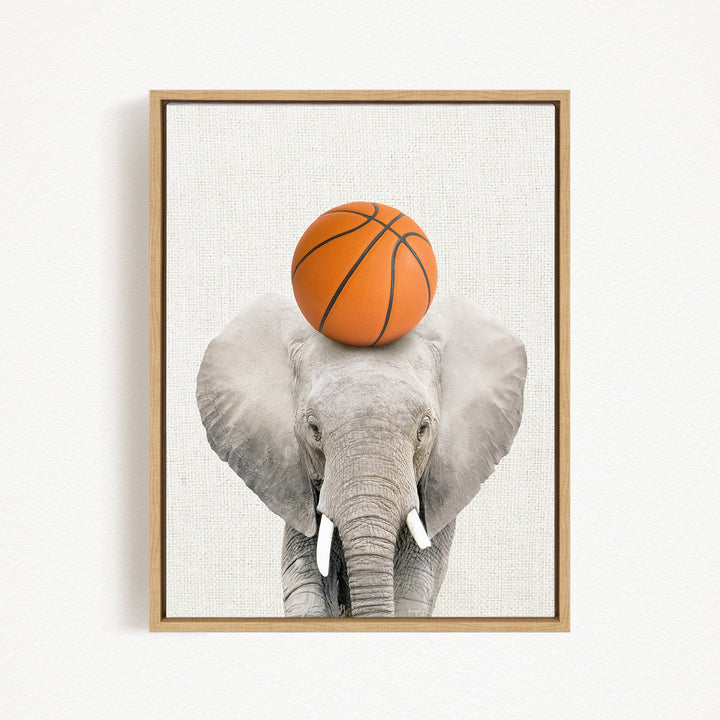 A gray elephant with a basketball resting on its head.