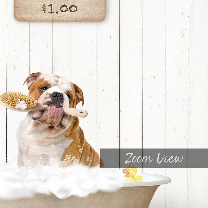 A brown and white dog is sitting in a bathtub, holding a brush in its mouth, with a sign indicating the price of $1.00 above it.