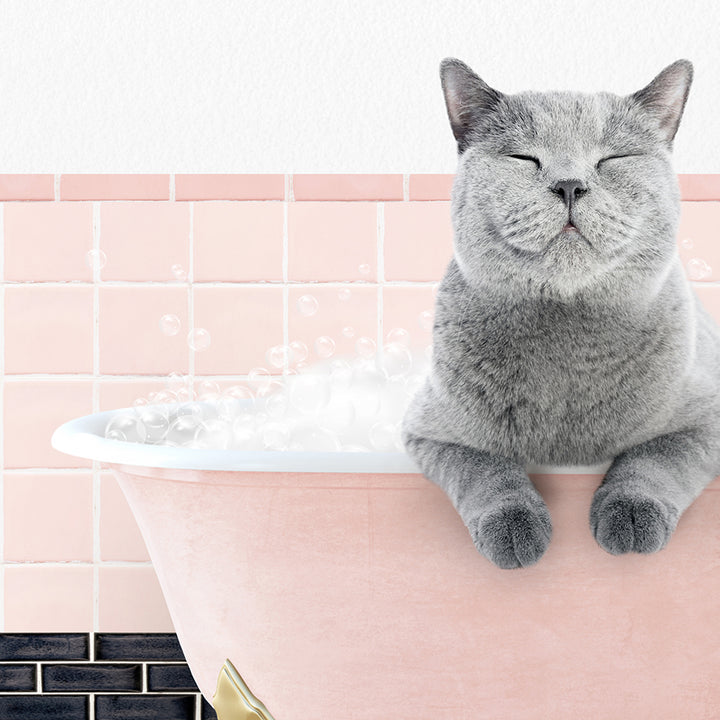 a cat is sitting in a bathtub with bubbles