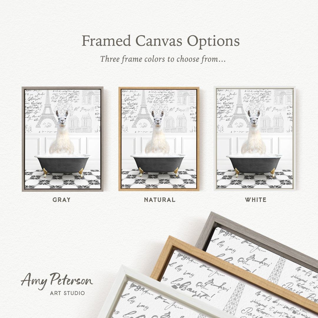 The image is a framed canvas option featuring three different color options for a framed artwork depicting a white llama in a bathtub.
