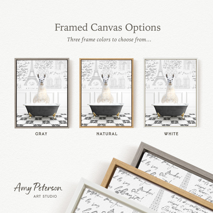 The image is a framed canvas option featuring three different color options for a framed artwork depicting a white llama in a bathtub.