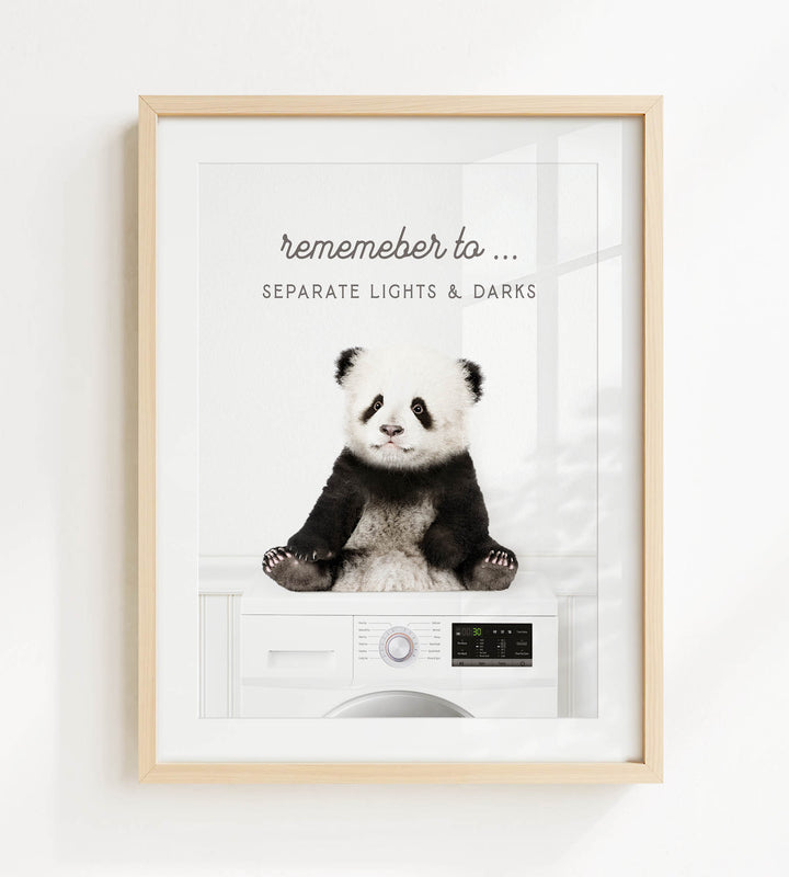 A panda bear sitting on a washing machine, with the text "Remember to separate lights & darks" displayed above the image.