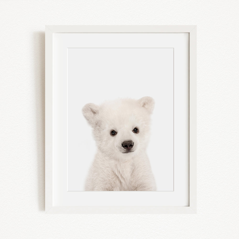 A cute white polar bear cub is the focus of the image, captured in a framed photograph.