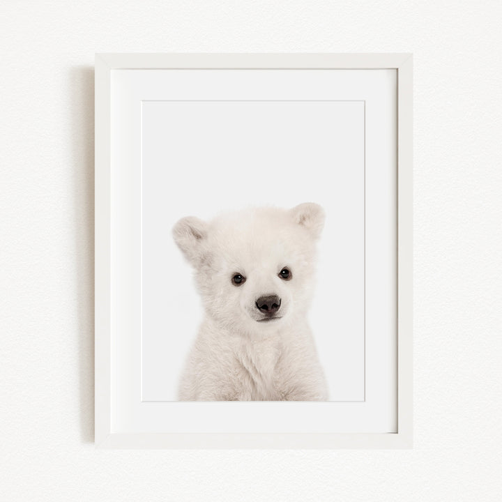 A cute white polar bear cub is the focus of the image, captured in a framed photograph.