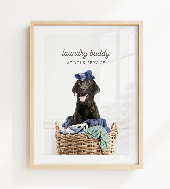 A black dog sitting in a wicker laundry basket, wearing a blue hat and surrounded by clothes.