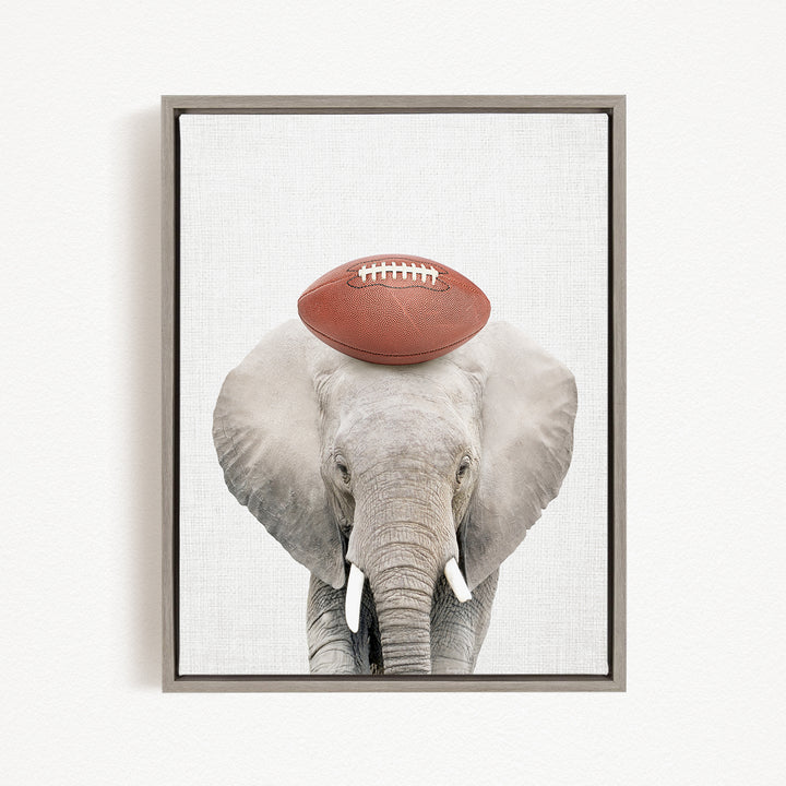 A gray elephant with a red football resting on its head.