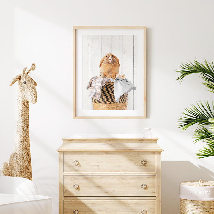 A framed photograph of a brown rabbit sitting in a basket is displayed on a white wall above a wooden dresser.