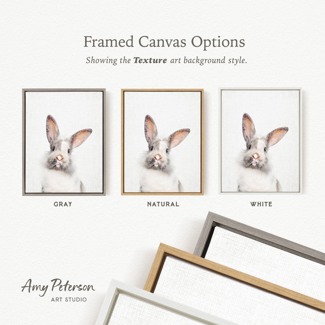 three framed canvas options, each with a different color and frame style, showcasing the texture art background style.