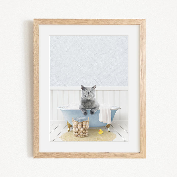 A gray cat sitting in a blue bathtub, surrounded by rubber ducks and a basket.