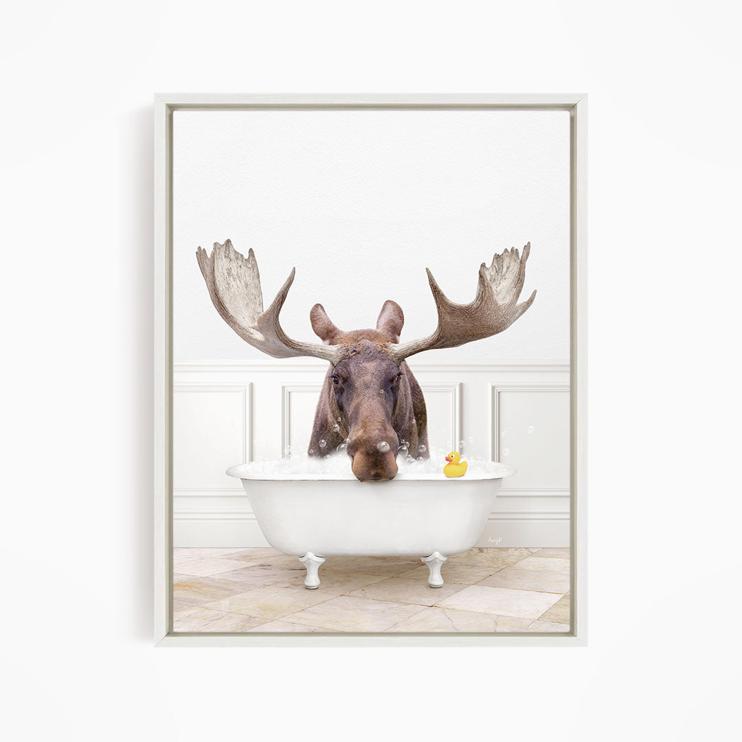 A moose with large antlers is sitting in a white bathtub, with a rubber duck floating in the water.
