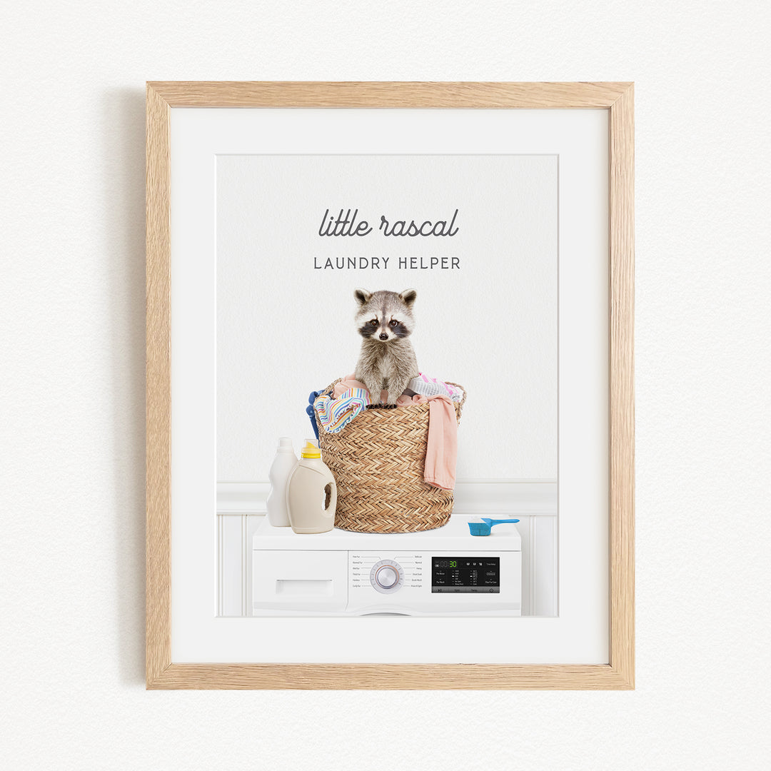 A raccoon sitting in a laundry basket filled with clothes and laundry supplies, with a framed print of the image displayed on a white wall.