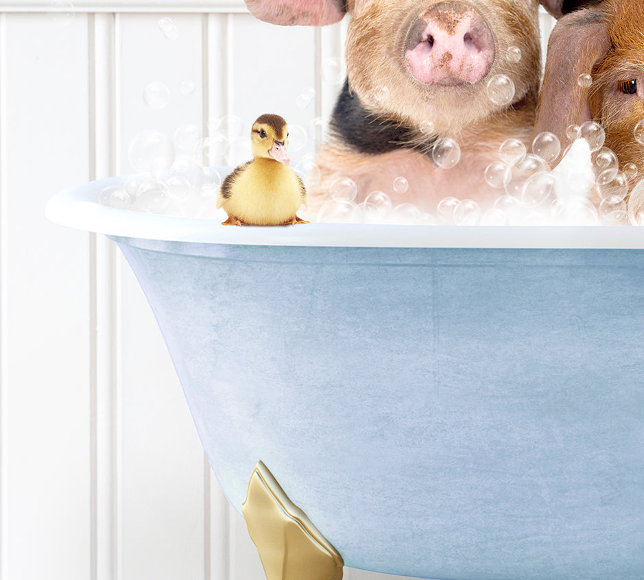 two dogs and a rubber duck in a bathtub