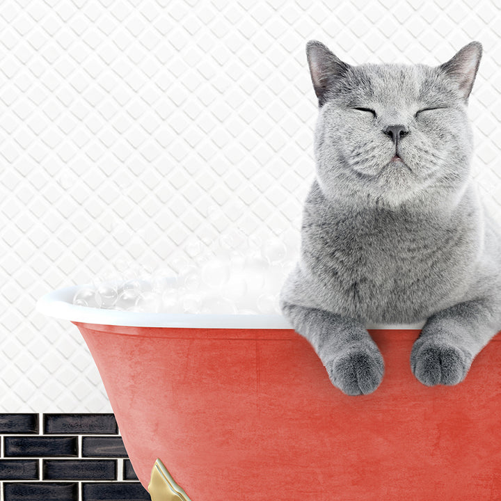 a cat sitting in a bathtub with its eyes closed