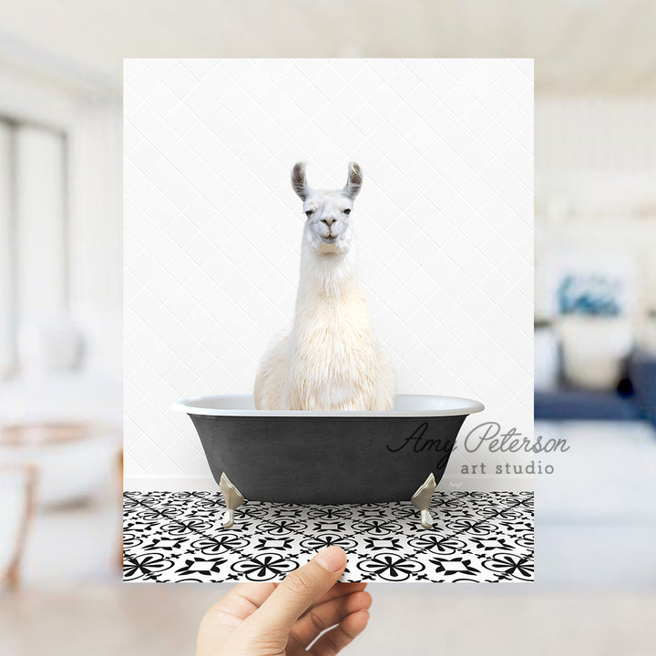 a llama is sitting in a bath tub