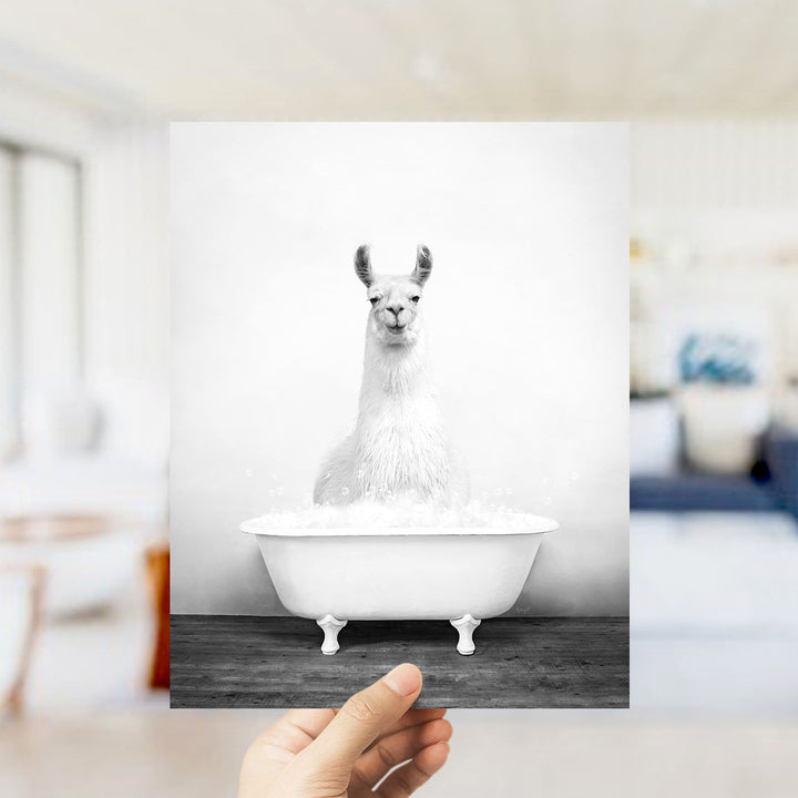 A white llama sitting in a white bathtub filled with bubbles, as seen in a black and white photograph.