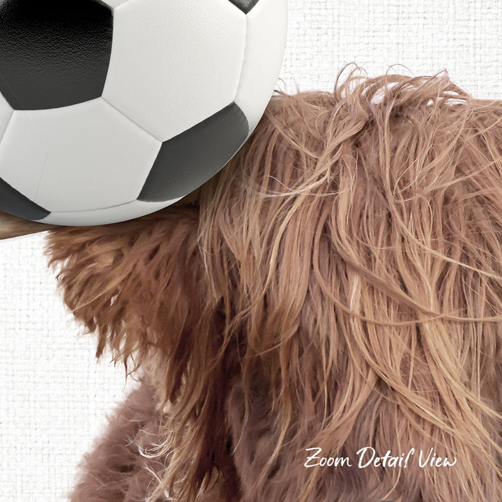 A close-up of a fluffy, long-haired dog's head, with a soccer ball resting on its head.